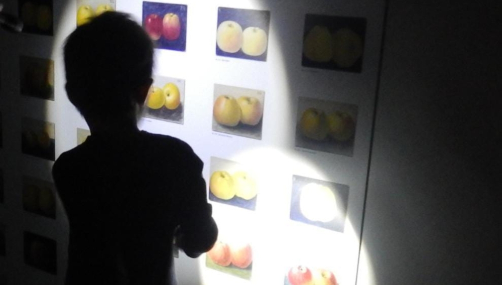 Taschenlampenführung im Museum