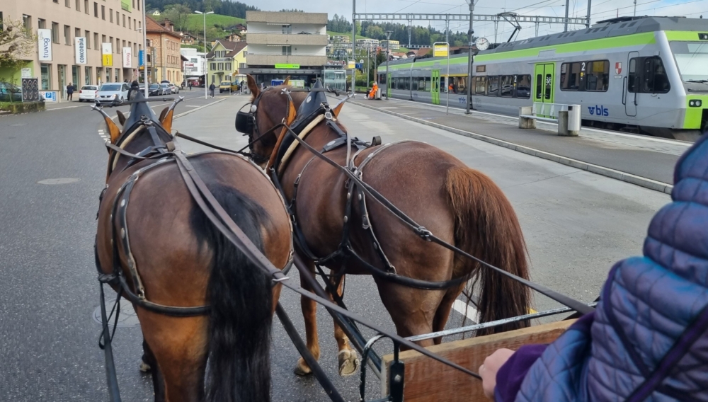 Apéro auf der Kutsche