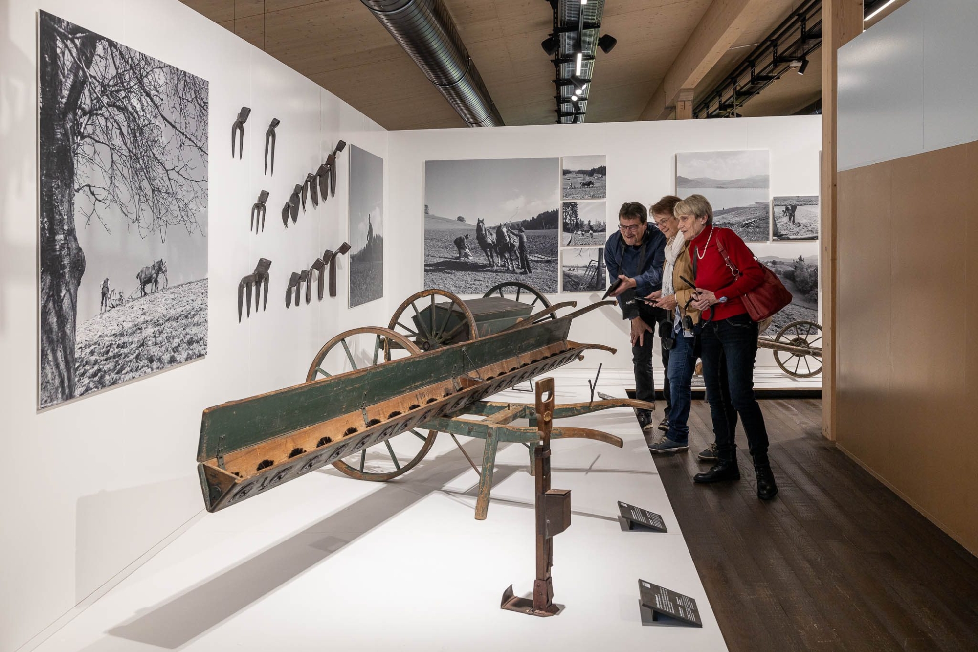 Museum museum