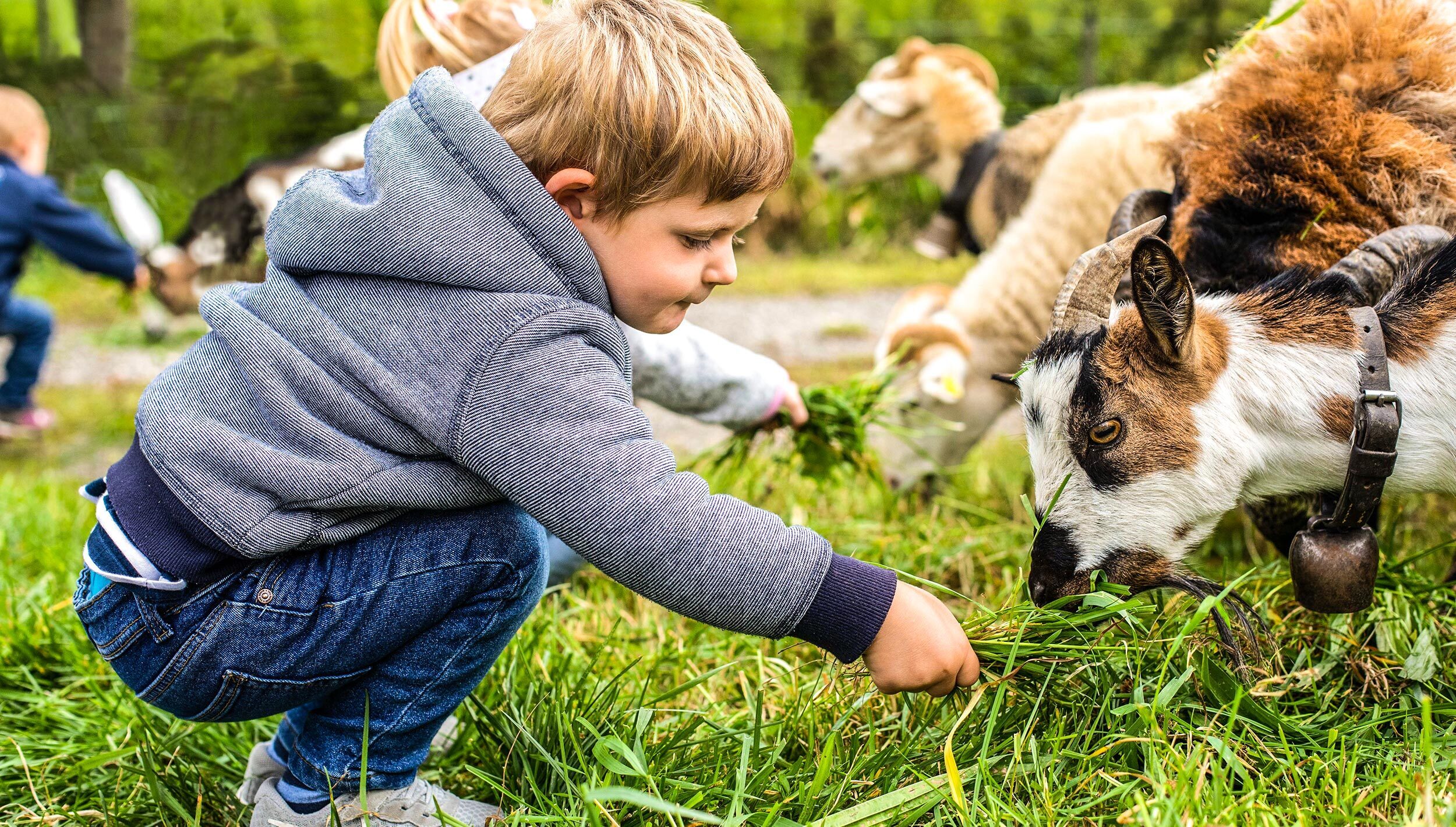 Willkommen bei uns im Burgrain!